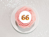 66th Birthday Beer Numbers Edible Icing Cake Topper or Ribbon