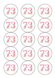 73rd Birthday Pretty Pink Flowers Edible Icing Cake Topper or Ribbon