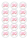80th Birthday Flowers Edible Icing Cake Topper or Ribbon