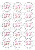 87th Birthday Flowers Edible Icing Cake Topper or Ribbon