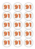 91st Birthday Red & Gold Edible Icing Cake Topper or Ribbon