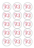 93rd Birthday Flowers Edible Icing Cake Topper or Ribbon