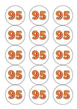 95th Birthday Red & Gold Edible Icing Cake Topper or Ribbon