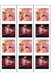 Ariana Grande 08 Edible Icing Cake Topper or Ribbon