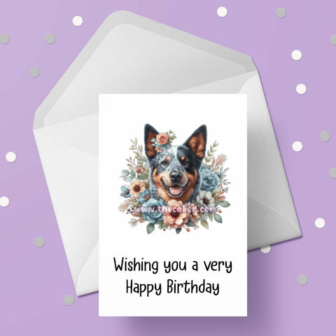 Australian Cattle Dog Birthday Card 01