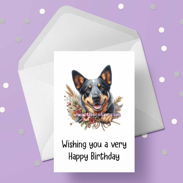 Australian Cattle Dog Birthday Card 02