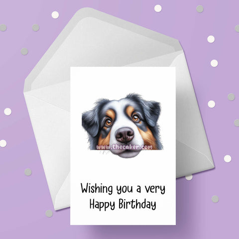 Australian Shepherd Dog Birthday Card 02