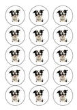 Border Collie 03 Edible Icing Cake Topper or Ribbon