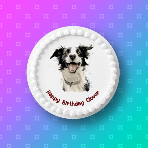 Border Collie 03 Edible Icing Cake Topper or Ribbon