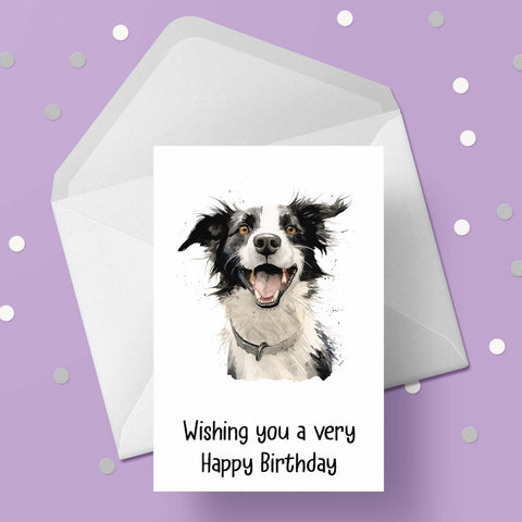 Border Collie 03 Birthday Card