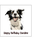 Border Collie 03 Edible Icing Cake Topper or Ribbon
