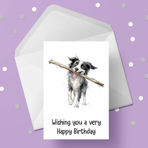 Border Collie 04 Birthday Card