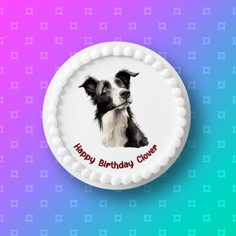 Border Collie 02 Edible Icing Cake Topper or Ribbon