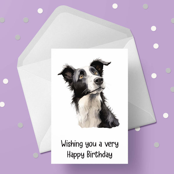 Border Collie 02 Birthday Card
