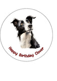 Border Collie 02 Edible Icing Cake Topper or Ribbon