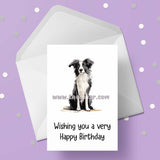 Border Collie Birthday Card 05