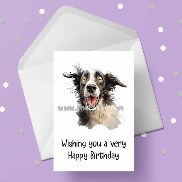 Border Collie Birthday Card 06