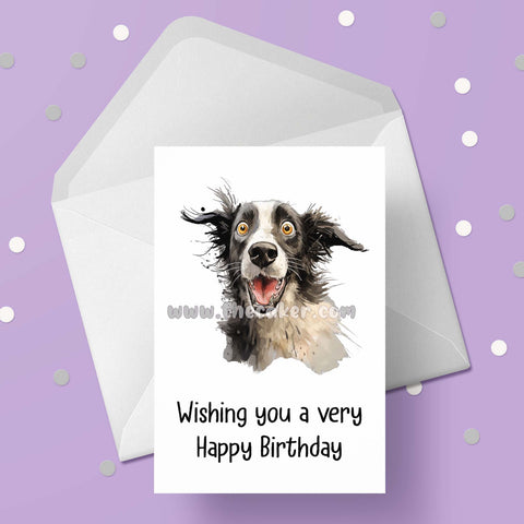 Border Collie Birthday Card 06