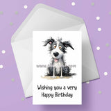 Border Collie Birthday Card 07
