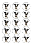Border Collie 01 Edible Icing Cake Topper or Ribbon