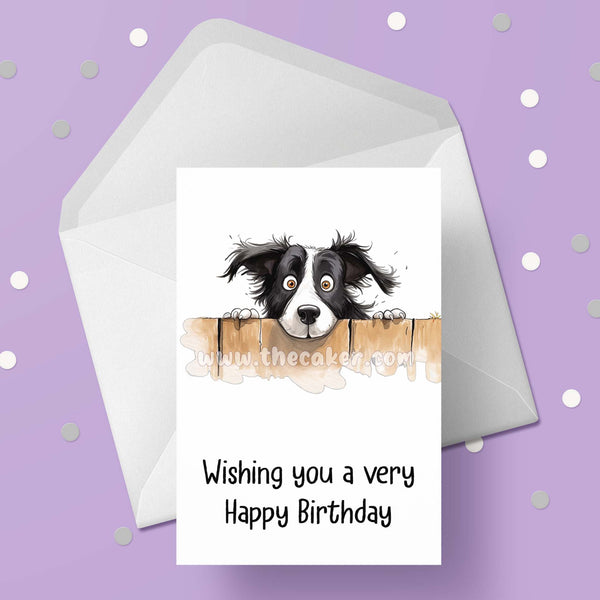 Border Collie Birthday Card 08