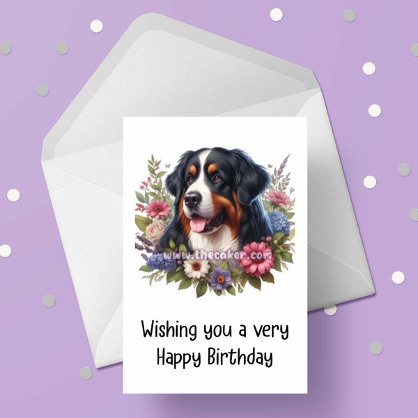 Bernese Mountain Dog Birthday Card 02
