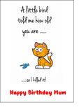 Happy Birthday Edible Icing Cake Topper or Ribbon 17 - Funny "A little bird..."