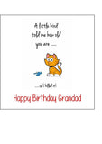Happy Birthday Edible Icing Cake Topper or Ribbon 17 - Funny "A little bird..."