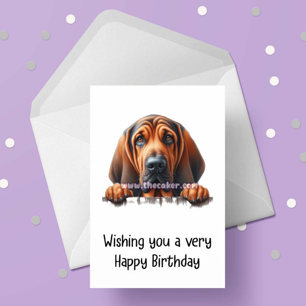 Bloodhound Dog Birthday Card 02