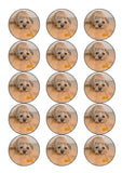 Border Terrier 01 Edible Icing Cake Topper or Ribbon