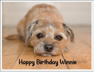 Border Terrier 01 Edible Icing Cake Topper or Ribbon