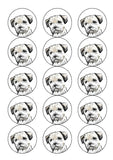 Border Terrier 02 Edible Icing Cake Topper or Ribbon