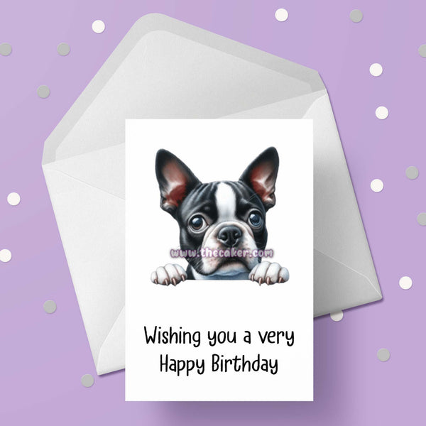 Boston Terrier Dog Birthday Card 02