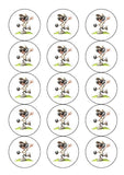 Lawn Bowls Female Bowler 01 Edible Icing Cake Topper or Ribbon
