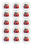 Boxing 06 Edible Icing Cake Topper or Ribbon