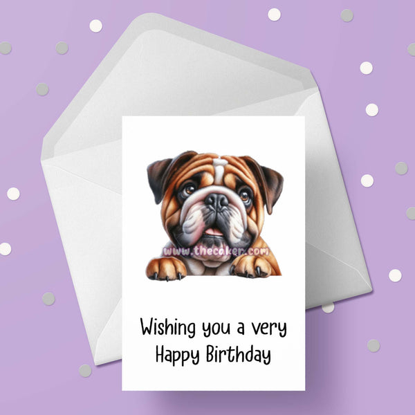 Bulldog Birthday Card 04