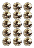Call of Duty 02 Edible Icing Cake Topper or Ribbon