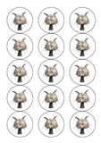 Cat 03 Edible Icing Cake Topper or Ribbon