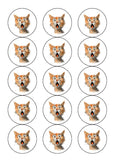 Cat 04 Edible Icing Cake Topper or Ribbon