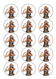 Celine Dion 03 Edible Icing Cake Topper or Ribbon