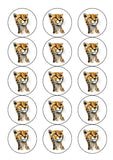 Cheetah 04 Edible Icing Cake Topper or Ribbon