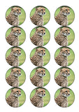 Cheetah 01 Edible Icing Cake Topper or Ribbon