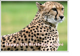 Cheetah 01 Edible Icing Cake Topper or Ribbon