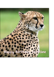 Cheetah 01 Edible Icing Cake Topper or Ribbon