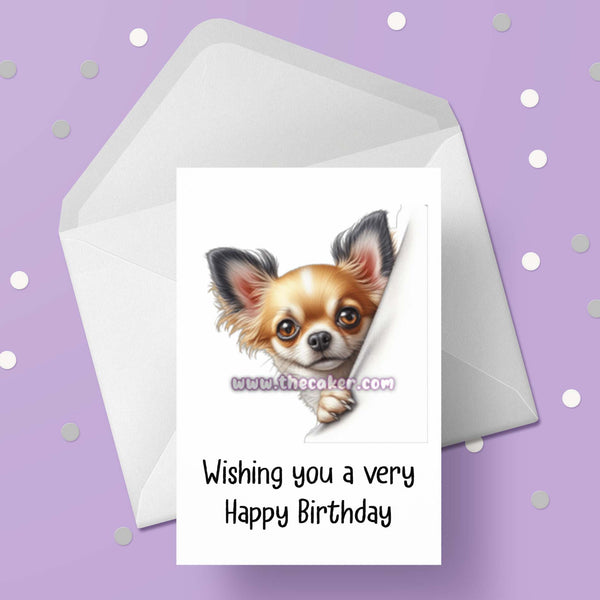 Chihuahua Birthday Card 02