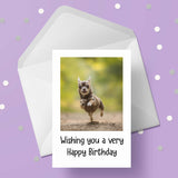 Chihuahua 02 Birthday Card