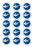 Clay Pigeon Shooting 01 Edible Icing Cake Topper or Ribbon