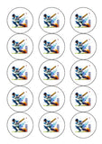 Cricket 04 Edible Icing Cake Topper or Ribbon