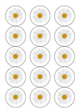 Daisy Flower Edible Icing Cake Topper or Ribbon