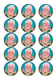 David Attenborough 03 Edible Icing Cake Topper